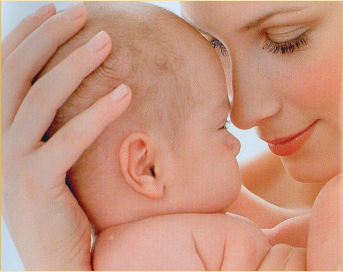 LA IMPORTANCIA DE LA 